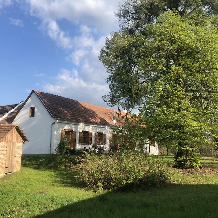 Sonnenhof Leilighet Limbach im Burgenland Eksteriør bilde