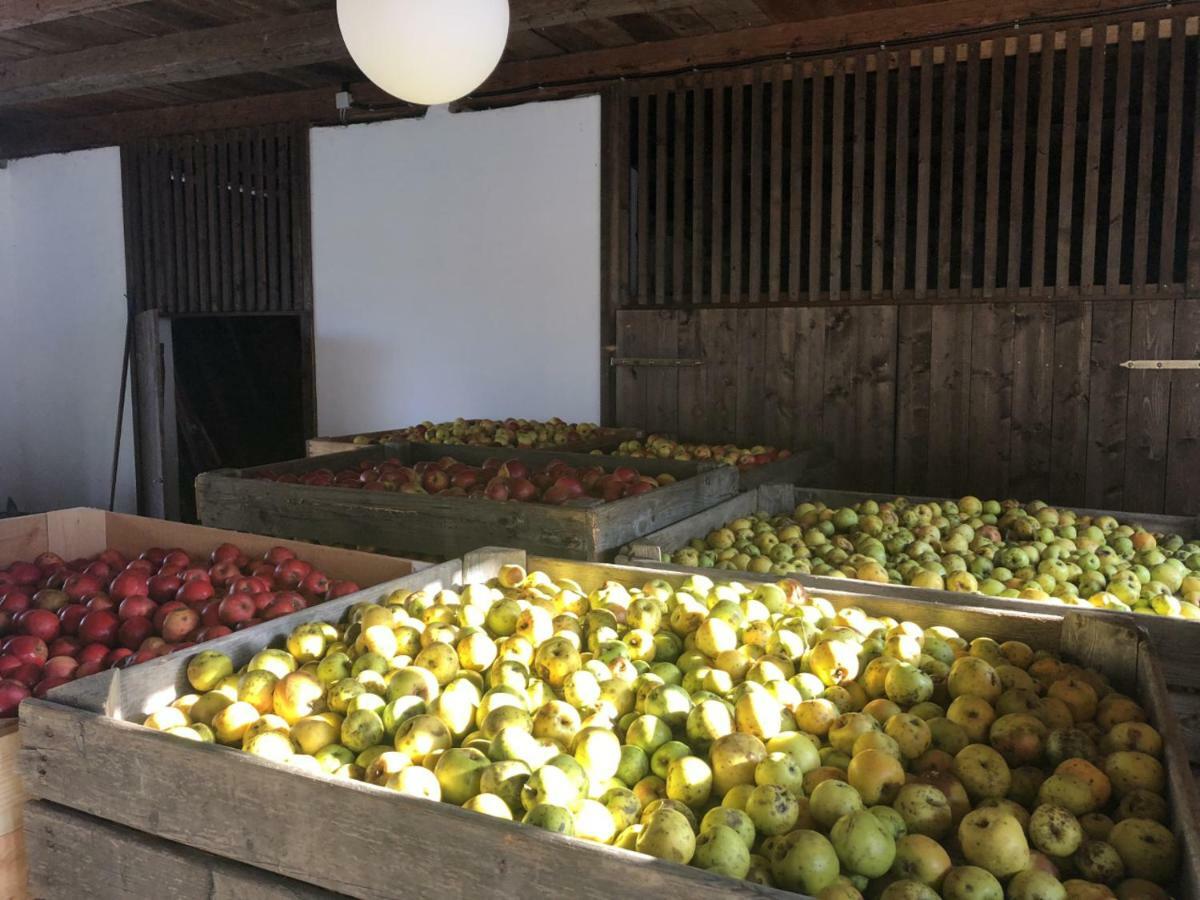 Sonnenhof Leilighet Limbach im Burgenland Eksteriør bilde