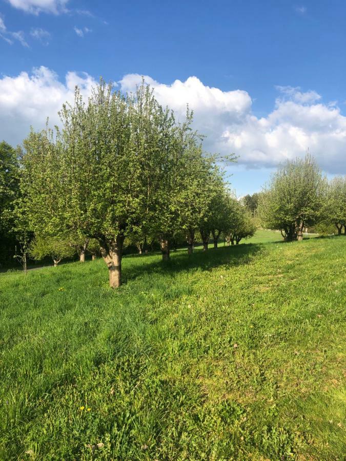Sonnenhof Leilighet Limbach im Burgenland Eksteriør bilde