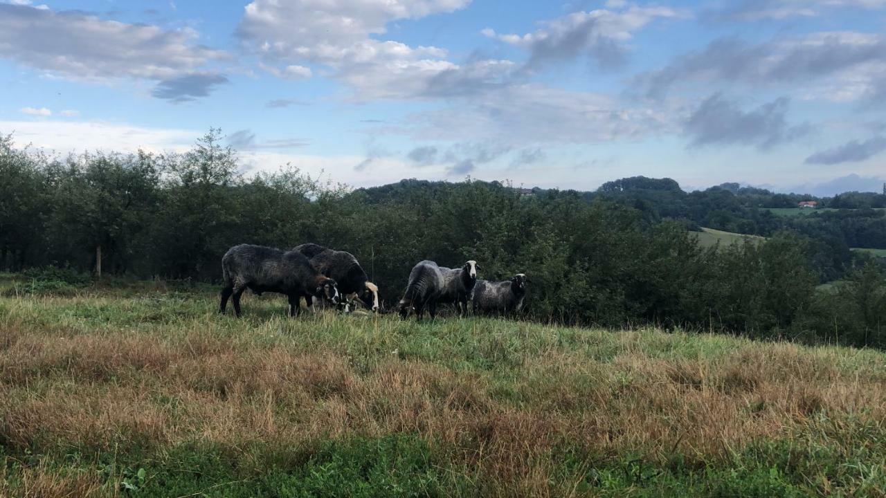 Sonnenhof Leilighet Limbach im Burgenland Eksteriør bilde